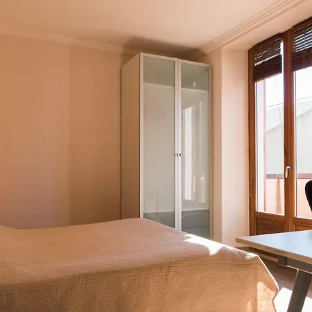 飞鱼酒店 阿讷西