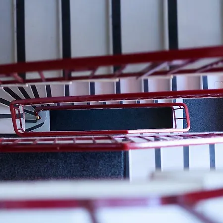 飞鱼酒店 酒店 阿讷西